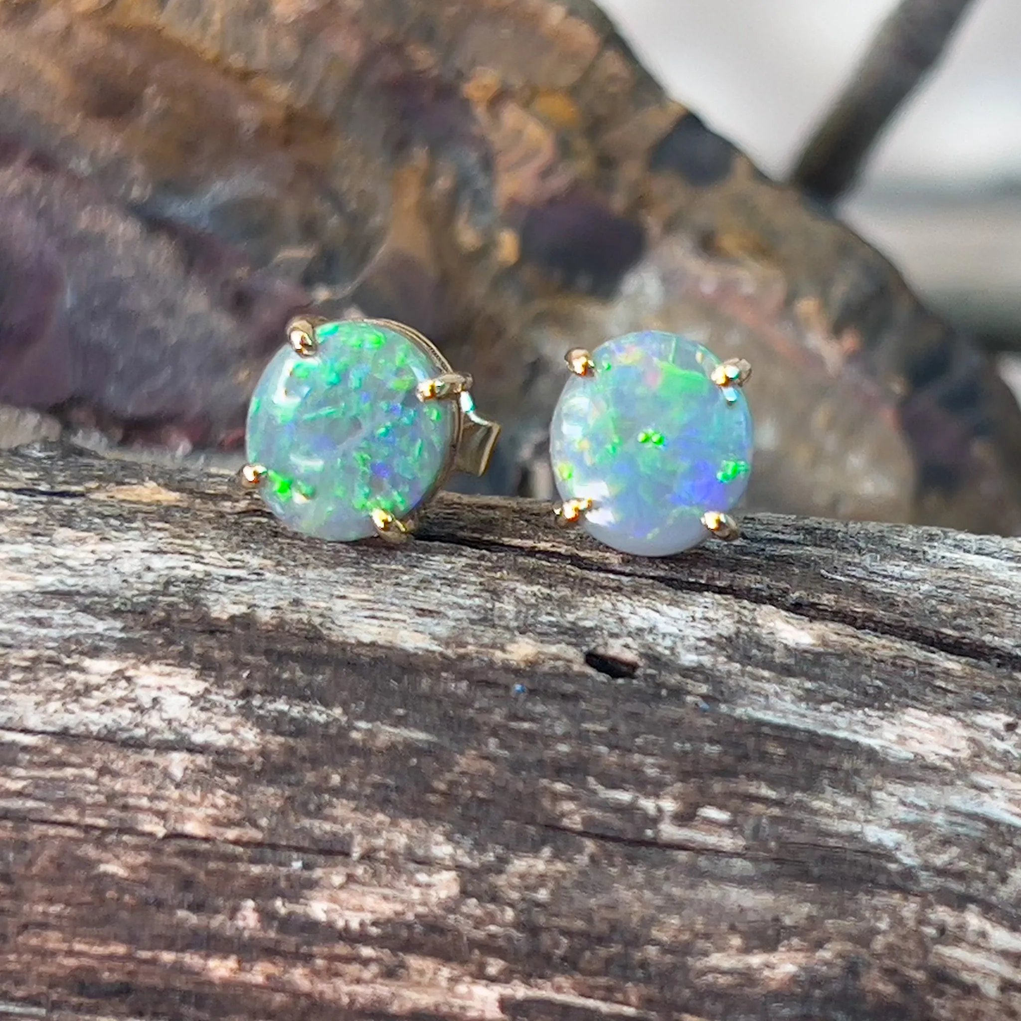 14kt Yellow Gold claw set Black Opal studs 1.59ct