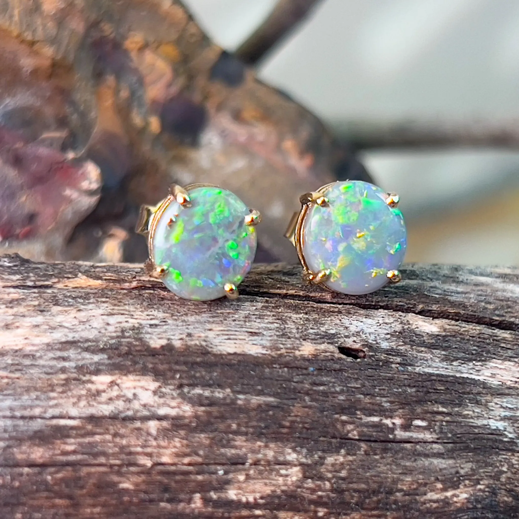 14kt Yellow Gold claw set Black Opal studs 1.59ct